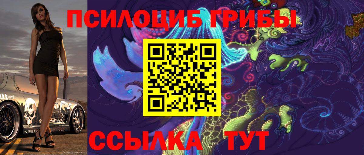 Подольск  Галлюциногенные грибы ЛСД  Вход с VPN 